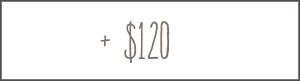 Gifts +120