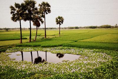 Artisan Country - India