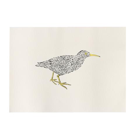 The Bittern - Afghanistan