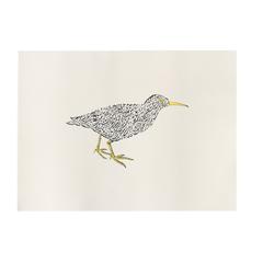 The Bittern - Afghanistan