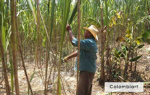 Colombiart - Colombian Jewelry 